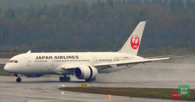 Japan Airlines Boeing 787-8